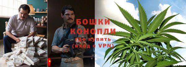 PSILOCYBIN Волоколамск