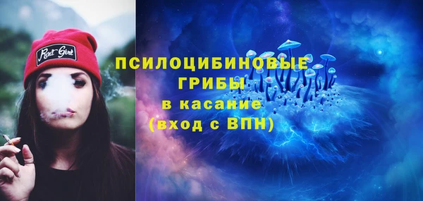 PSILOCYBIN Верхнеуральск